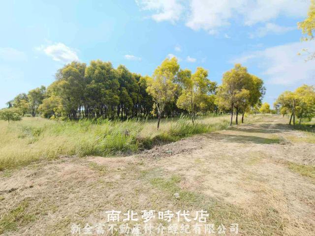 台南六甲農地-8