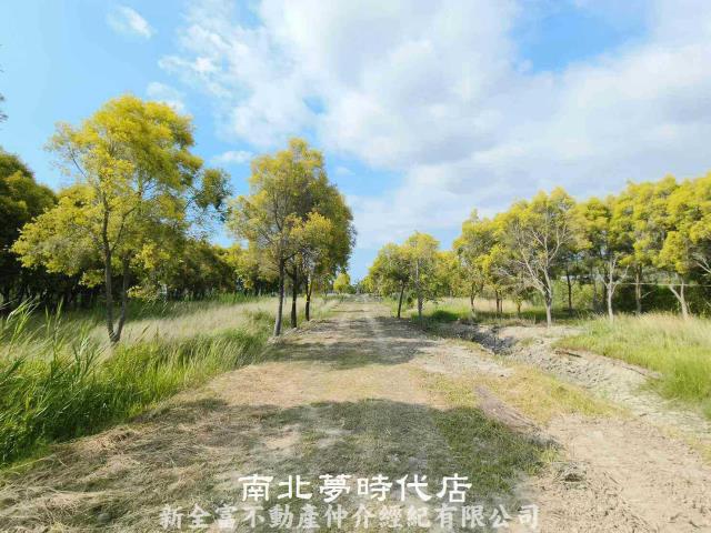 台南六甲農地-9