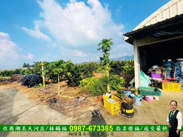 台南玉井農地-6