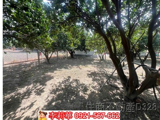 台南麻豆農地-12