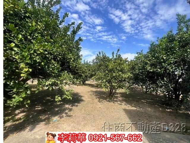 台南麻豆農地-13