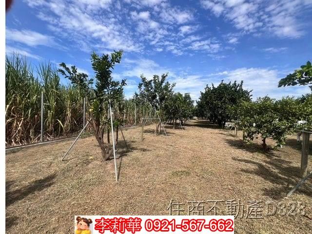 台南麻豆農地-14