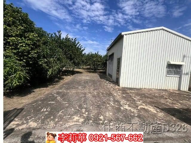 台南麻豆農地-2