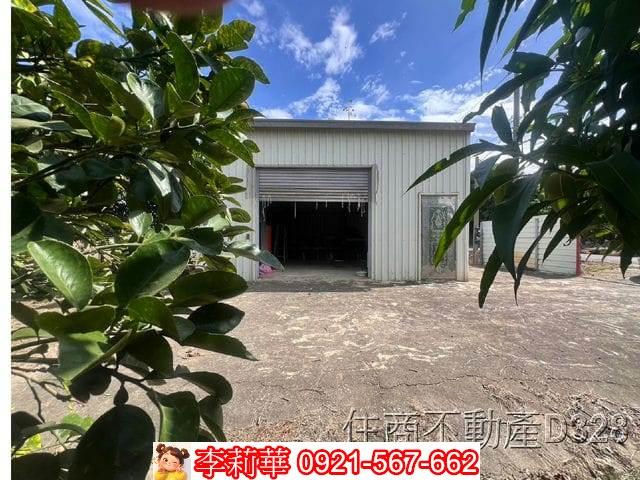 台南麻豆農地-5