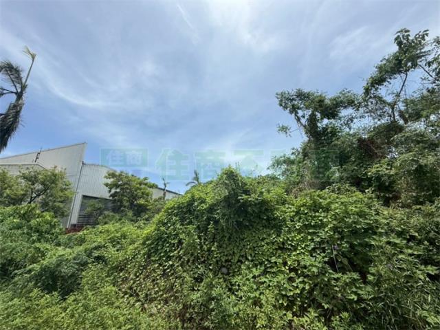 高雄美濃農地-7