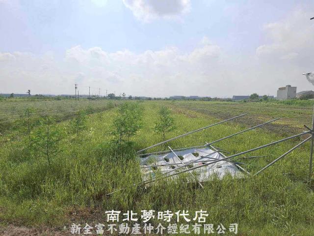 安定農地-1