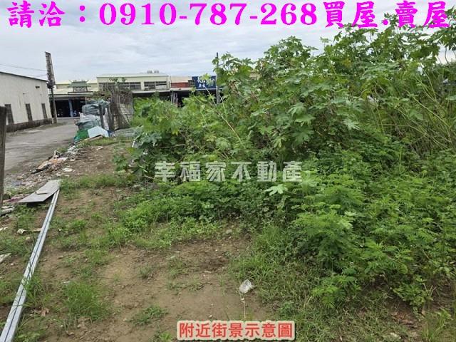 仁德農地-8