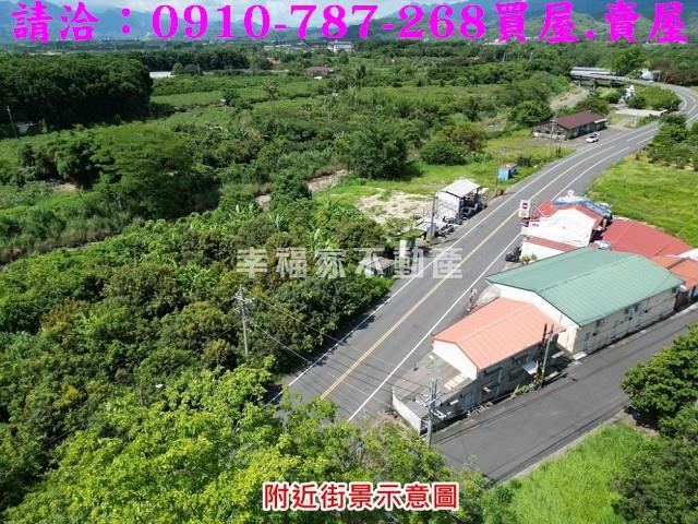 台南農地-3