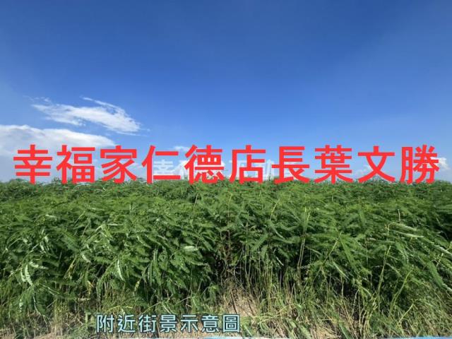 台南善化農地-15