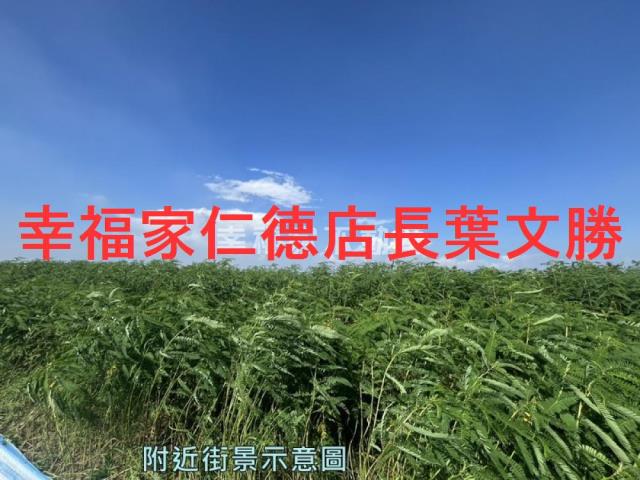 台南善化農地-1