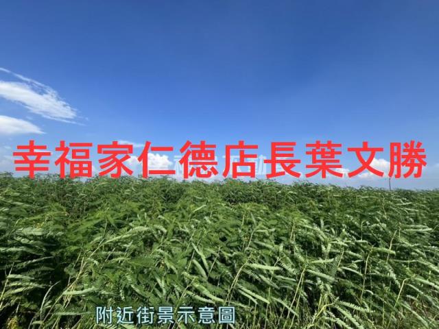 台南善化農地-4