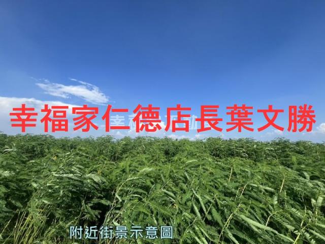 台南善化農地-8