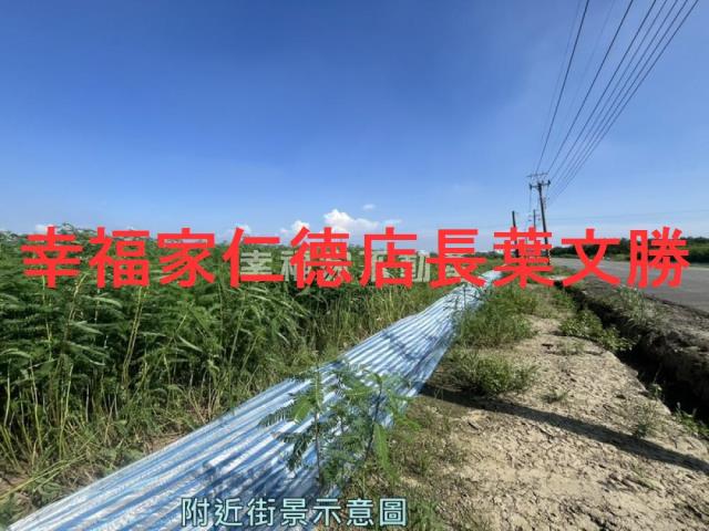 台南善化農地-9