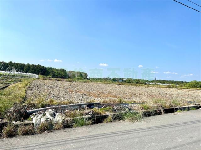 屏東高樹農地-2