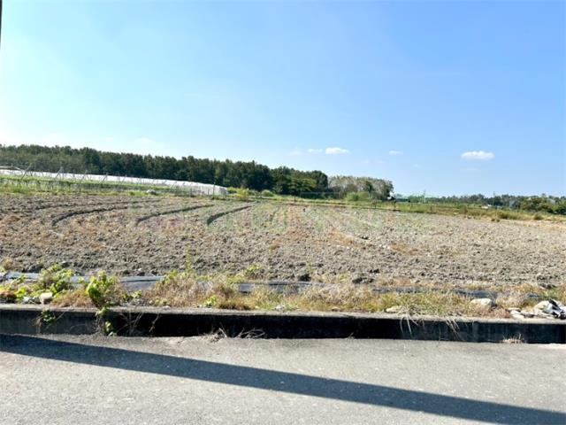 屏東高樹農地-4