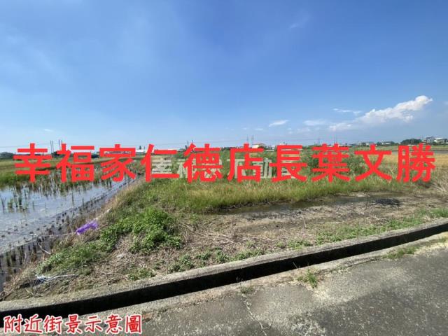 台南新市農地-10