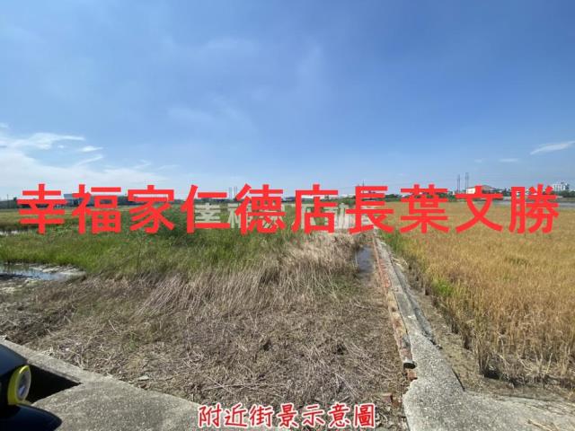 台南新市農地-1