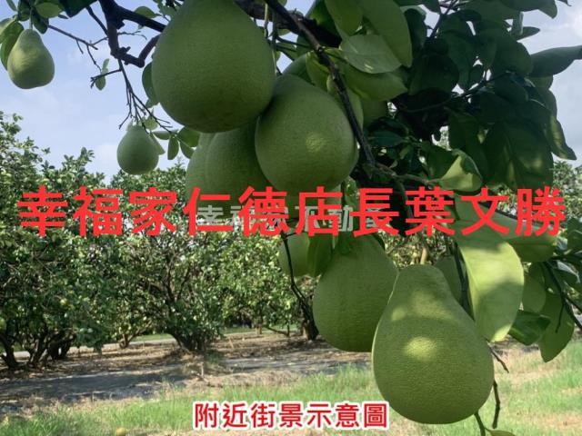 台南麻豆農地-15