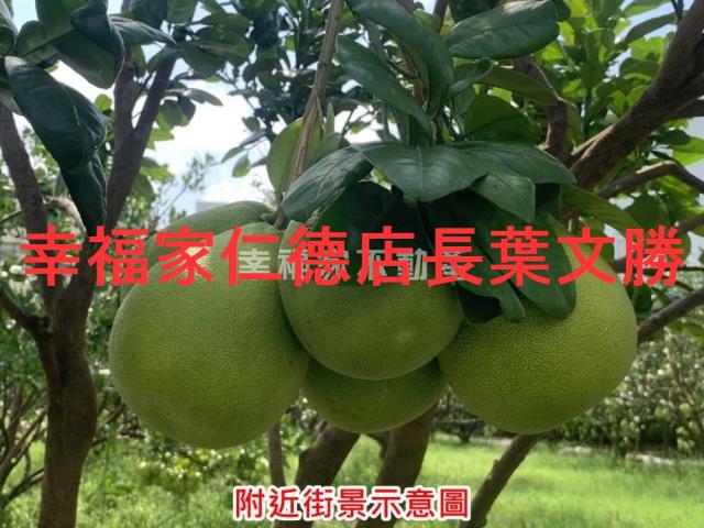 台南麻豆農地-3