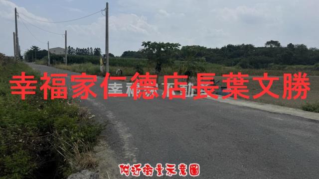 台南善化農地-13