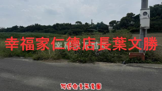 台南善化農地-1