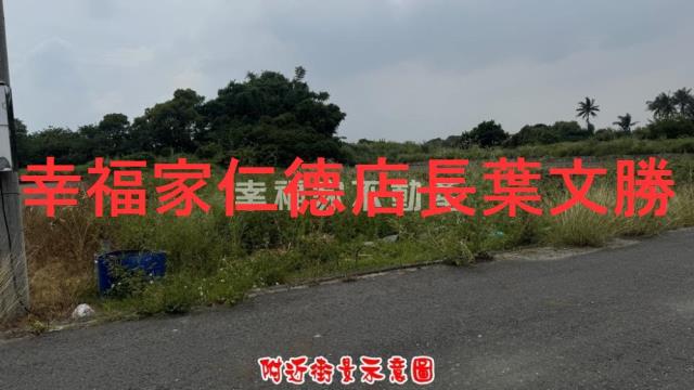 台南善化農地-8
