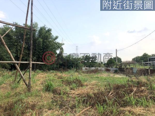 新化農地-2