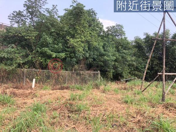 新化農地-3