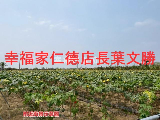 柳營農地-10