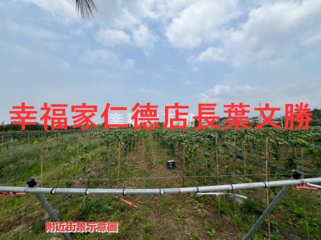 柳營農地-12