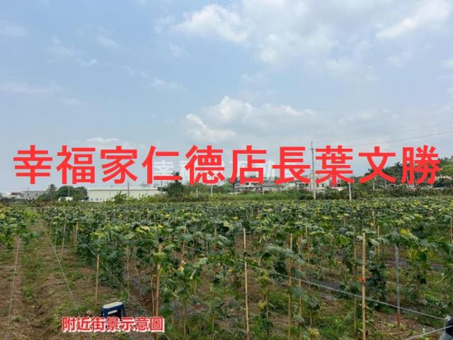 柳營農地-15