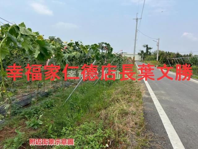 柳營農地-6