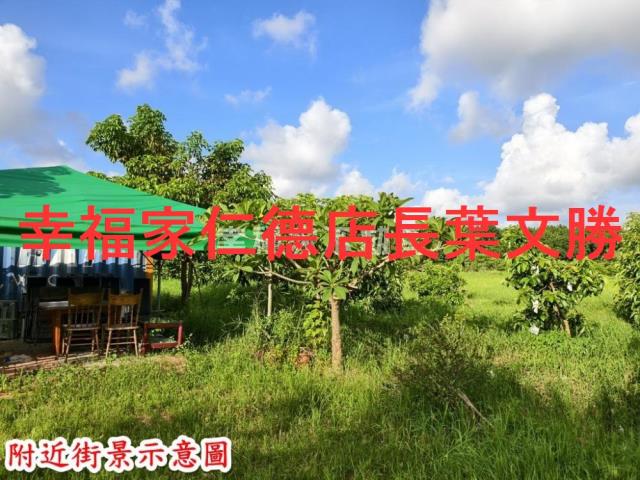 歸仁農地-11
