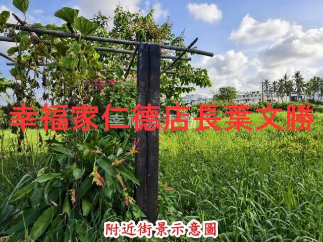 歸仁農地-15