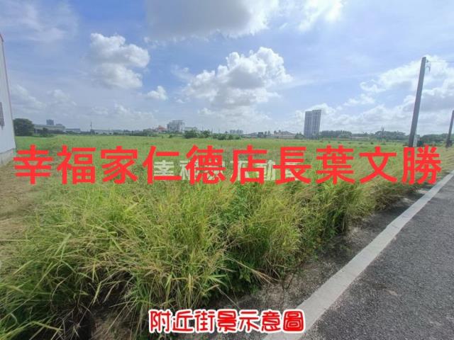 善化農地-10