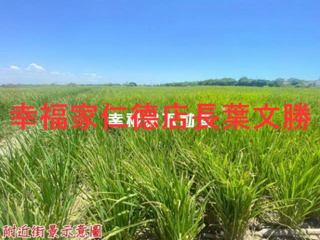 西港農地-10