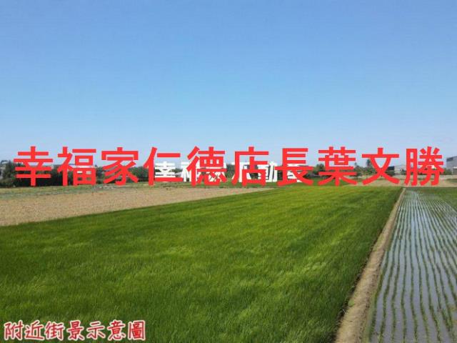 西港農地-11
