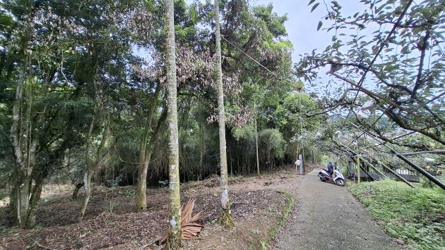 台中東勢農地-3