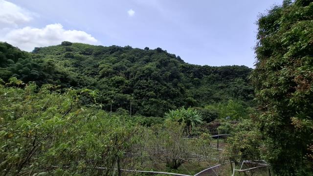 台中東勢農地-11