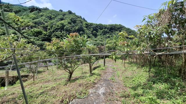 台中東勢農地-9
