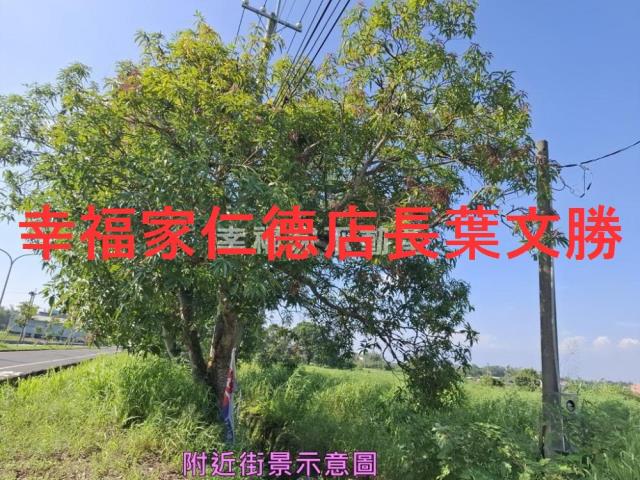 新化農地-4