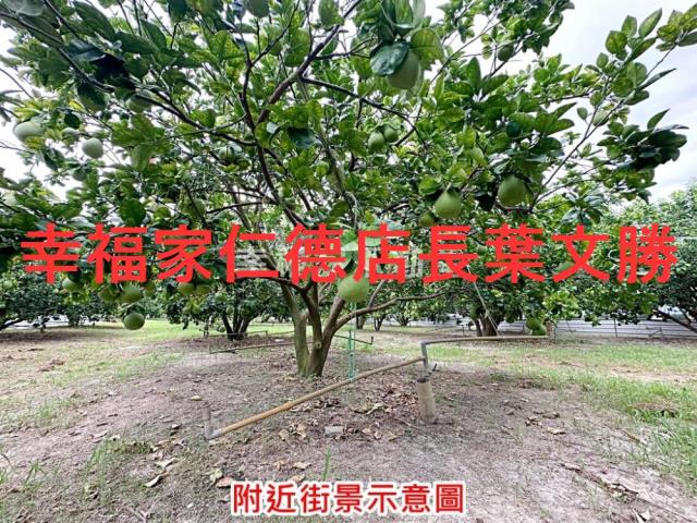 下營農地-10