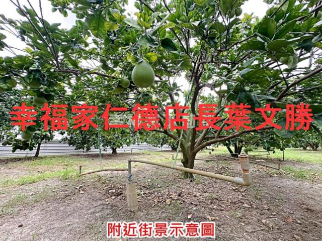 下營農地-1