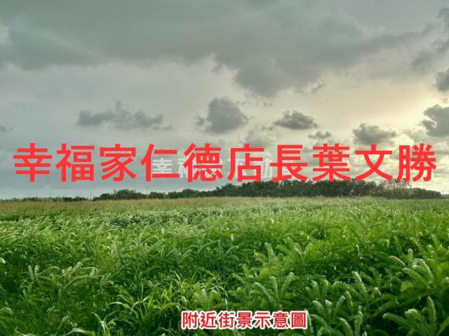 善化農地-10