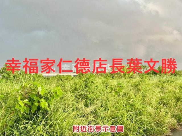 善化農地-11