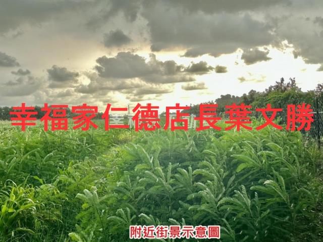 善化農地-12