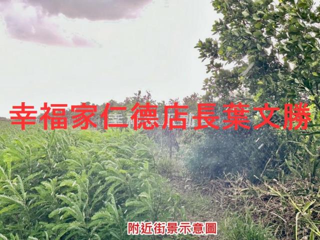 善化農地-8