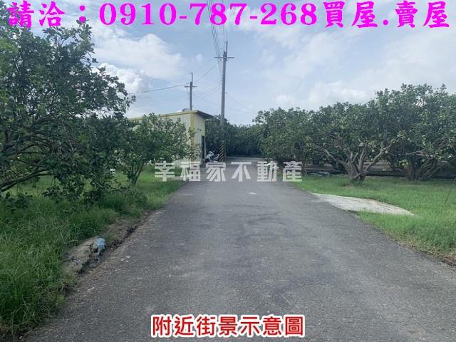 麻豆農地-1