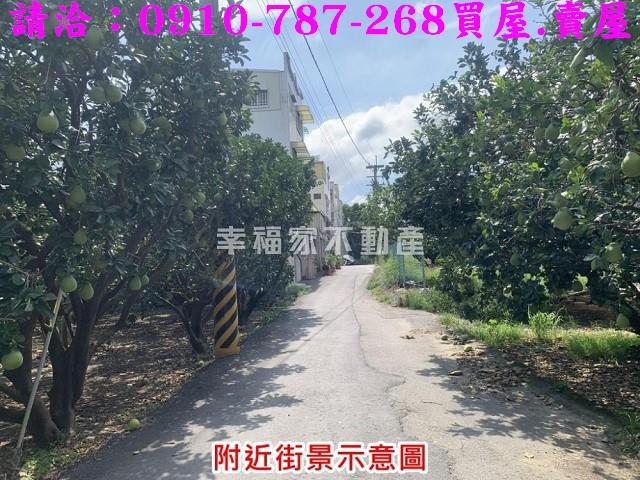 麻豆農地-2