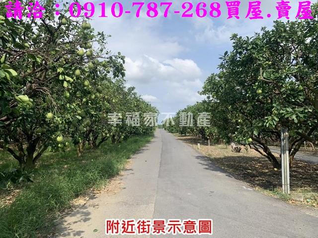 麻豆農地-4